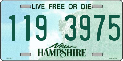 NH license plate 1193975