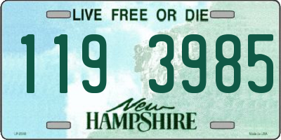 NH license plate 1193985
