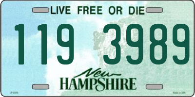 NH license plate 1193989