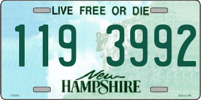 NH license plate 1193992