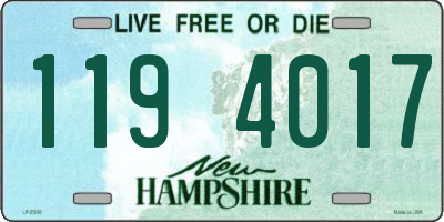 NH license plate 1194017