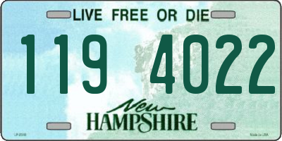 NH license plate 1194022