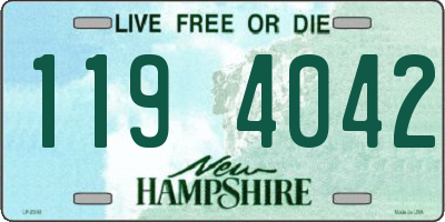 NH license plate 1194042