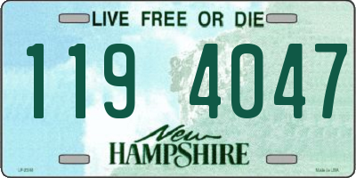 NH license plate 1194047