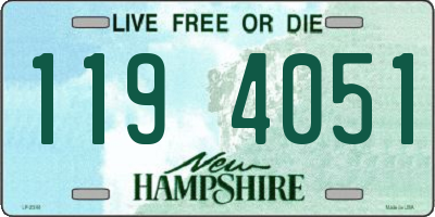 NH license plate 1194051