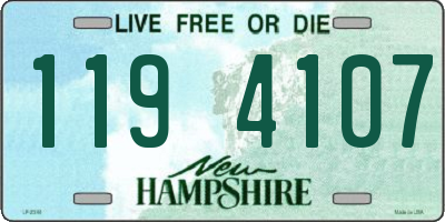 NH license plate 1194107