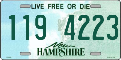 NH license plate 1194223