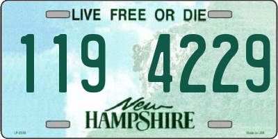 NH license plate 1194229