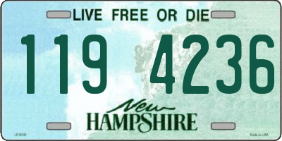 NH license plate 1194236