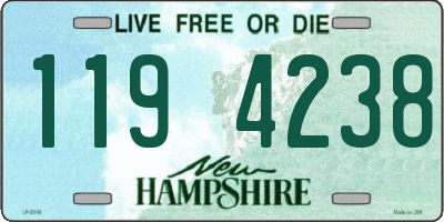 NH license plate 1194238