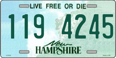NH license plate 1194245