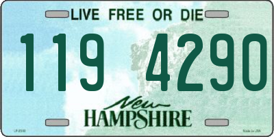 NH license plate 1194290
