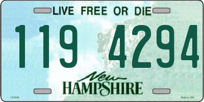 NH license plate 1194294