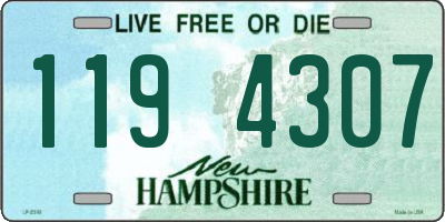 NH license plate 1194307