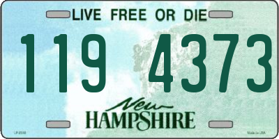 NH license plate 1194373