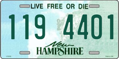 NH license plate 1194401