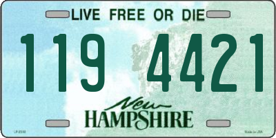 NH license plate 1194421