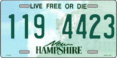 NH license plate 1194423