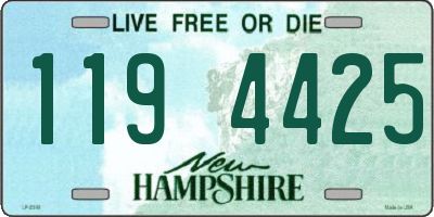 NH license plate 1194425