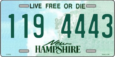 NH license plate 1194443