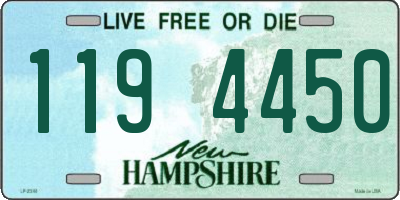 NH license plate 1194450