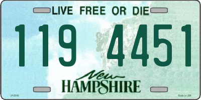 NH license plate 1194451