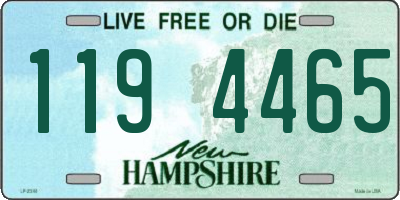 NH license plate 1194465
