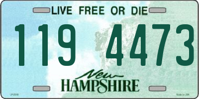 NH license plate 1194473