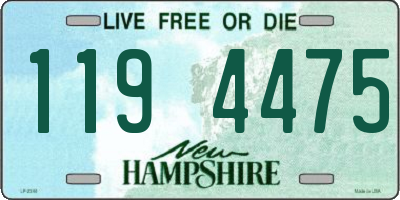 NH license plate 1194475
