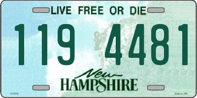 NH license plate 1194481