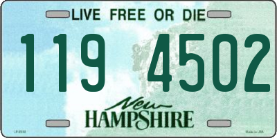 NH license plate 1194502