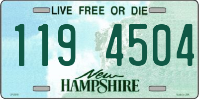NH license plate 1194504
