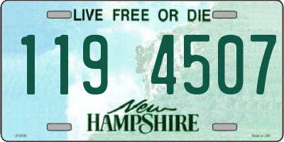 NH license plate 1194507