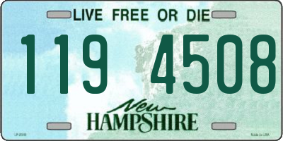 NH license plate 1194508