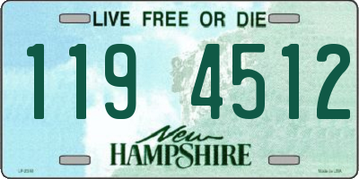 NH license plate 1194512