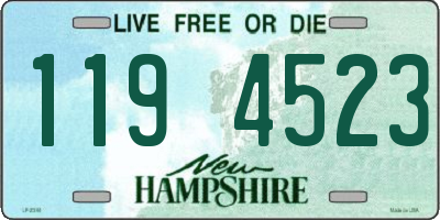 NH license plate 1194523