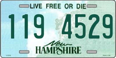 NH license plate 1194529
