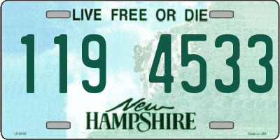 NH license plate 1194533