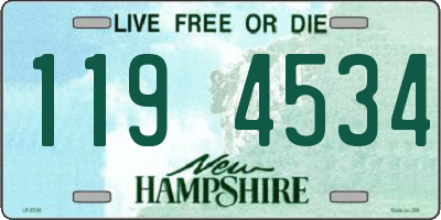 NH license plate 1194534