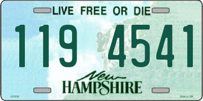 NH license plate 1194541
