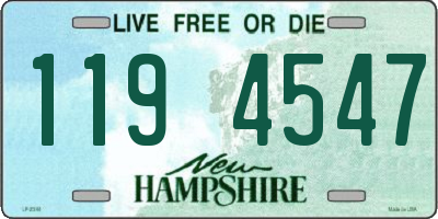 NH license plate 1194547
