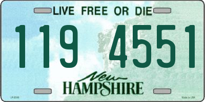 NH license plate 1194551