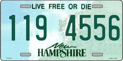 NH license plate 1194556