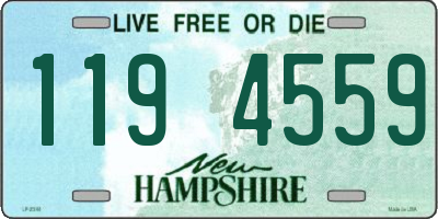 NH license plate 1194559