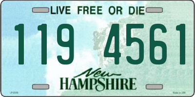 NH license plate 1194561