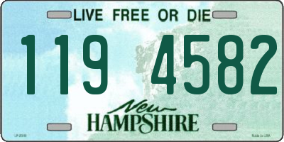 NH license plate 1194582