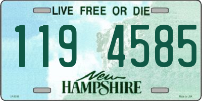 NH license plate 1194585