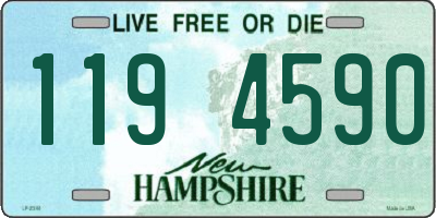NH license plate 1194590