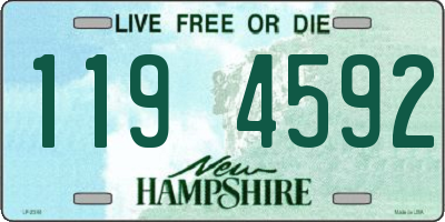 NH license plate 1194592