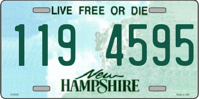 NH license plate 1194595